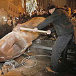 列宁雕塑被金马桶取代