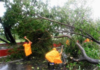 超强台风“威马逊”重创海南灾情纪实